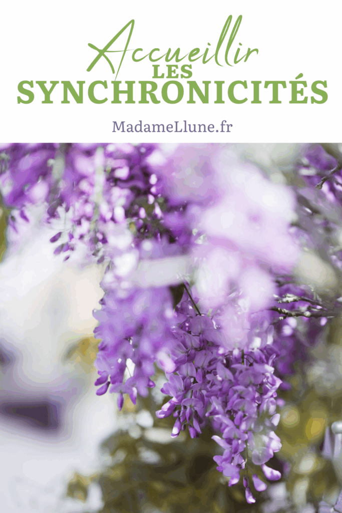 Accueillir les synchronicités